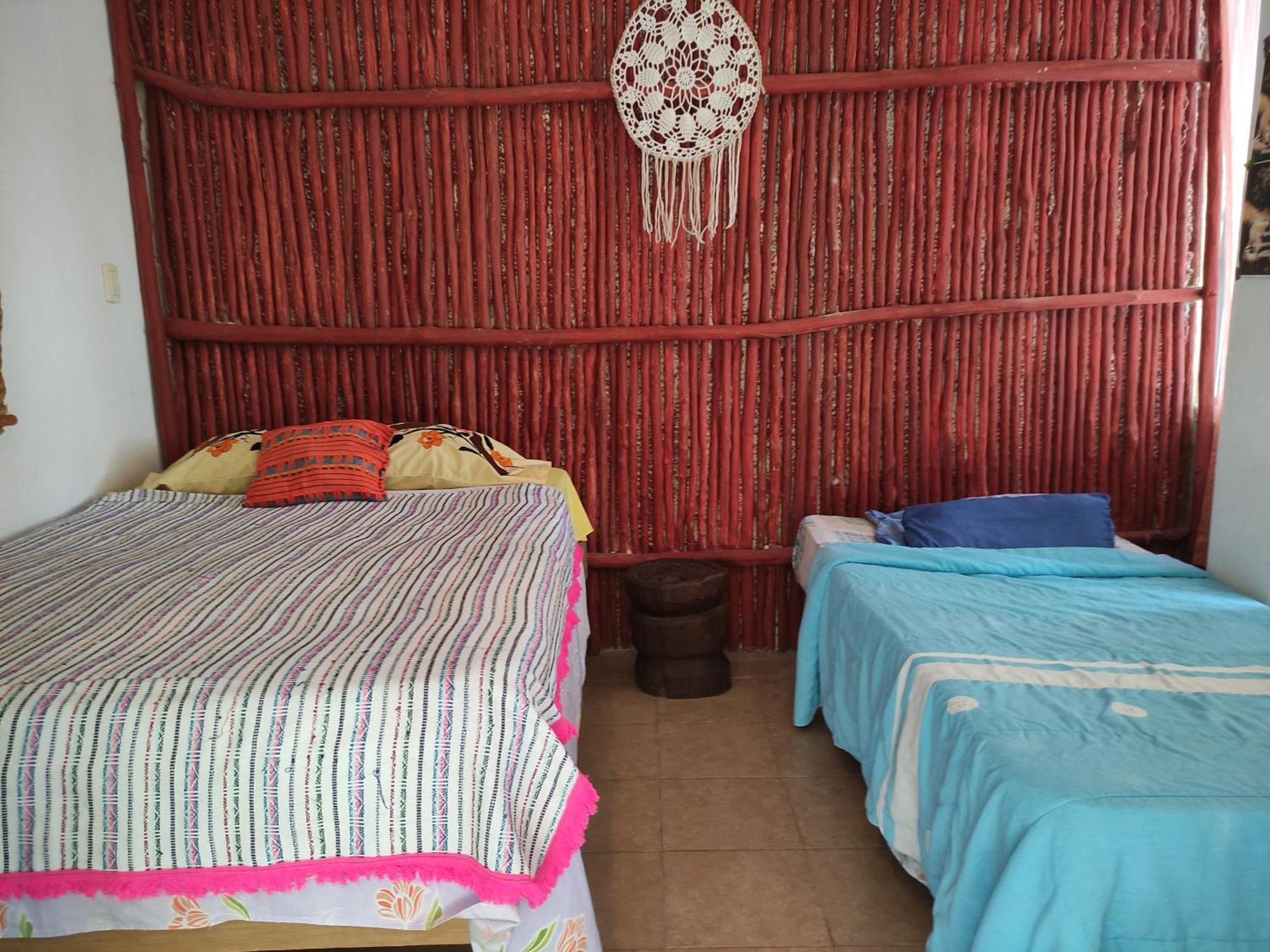 Near Lake Hostal Bacalar Pokoj fotografie